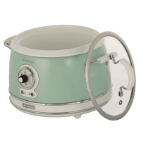Мультиварка Ariete Vintage 2904/04 (Зеленый)